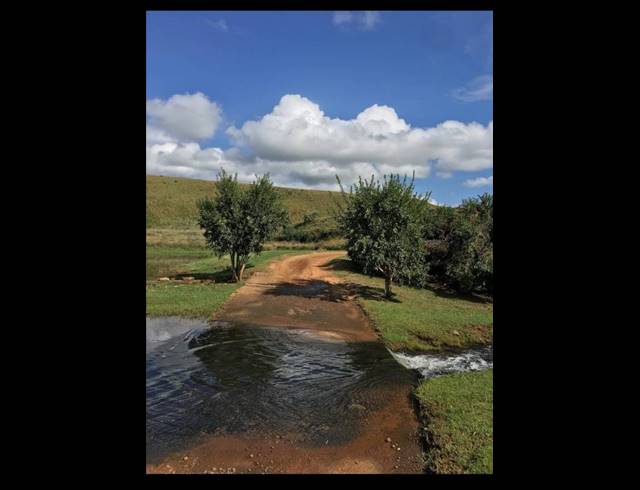 LAND FOR SALE IN MACHADODORP RURAL